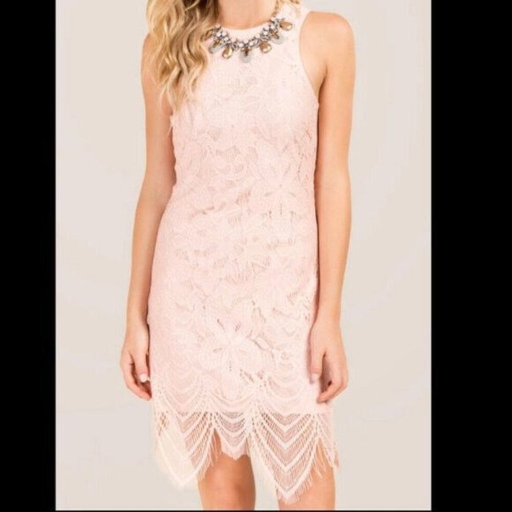 Francesca's Sleeveless Blush Pink Lace Dress with Scallop Hem
